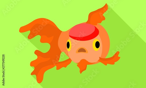 Colorful goldfish icon. Flat illustration of colorful goldfish vector icon for web design