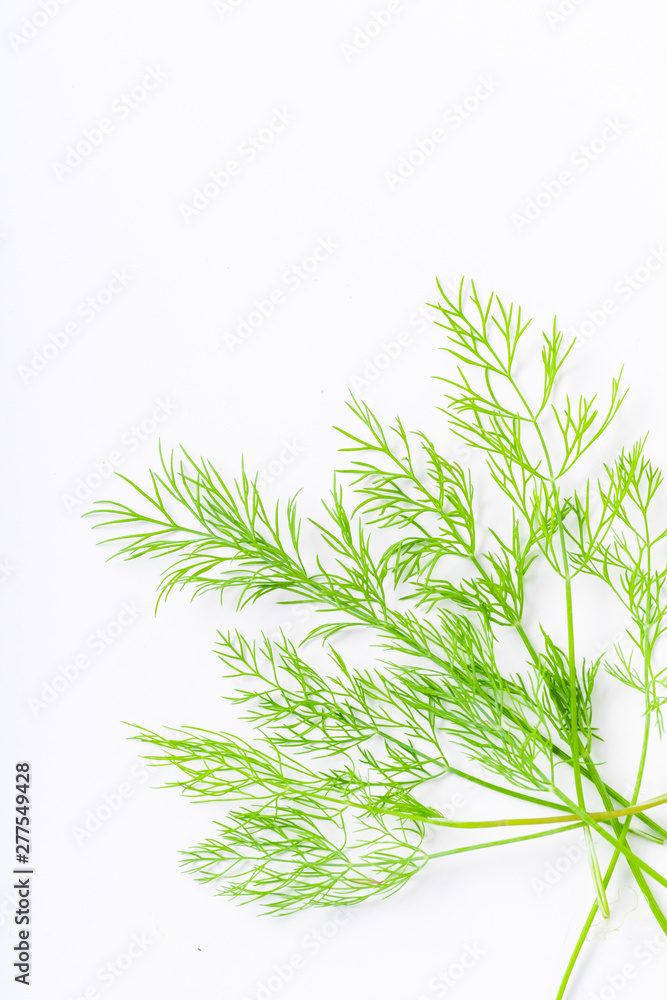 Fototapeta premium Fresh dill isolated on white background with copy space