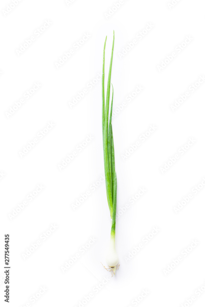 Fresh green chives isolated on white background Fresh green chives isolated on white background