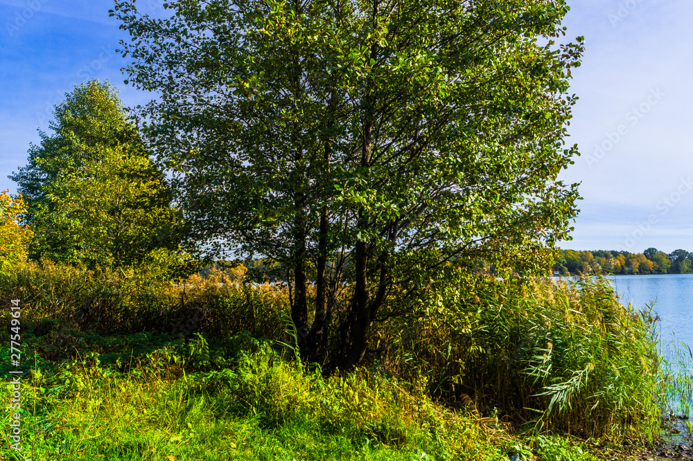 Autumn landscape on the Lake Biserovo, Moscow region, Russia. Autumn landscape on the Lake Biserovo, Moscow region, Russia.