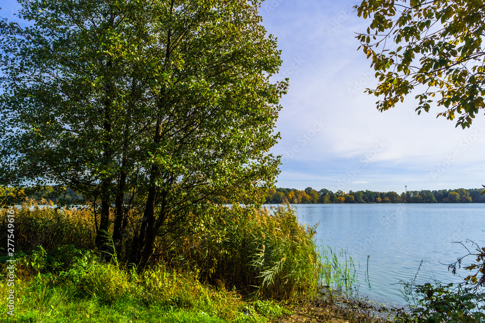 Autumn landscape on the Lake Biserovo, Moscow region, Russia.