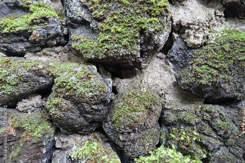 テクスチャー 苔むした岩石　moss on stone
