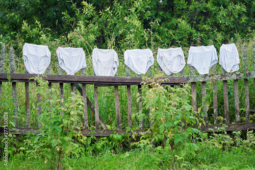 Bilde på lerret Freshly washed female underpants of a big size are being dried on the old wooden