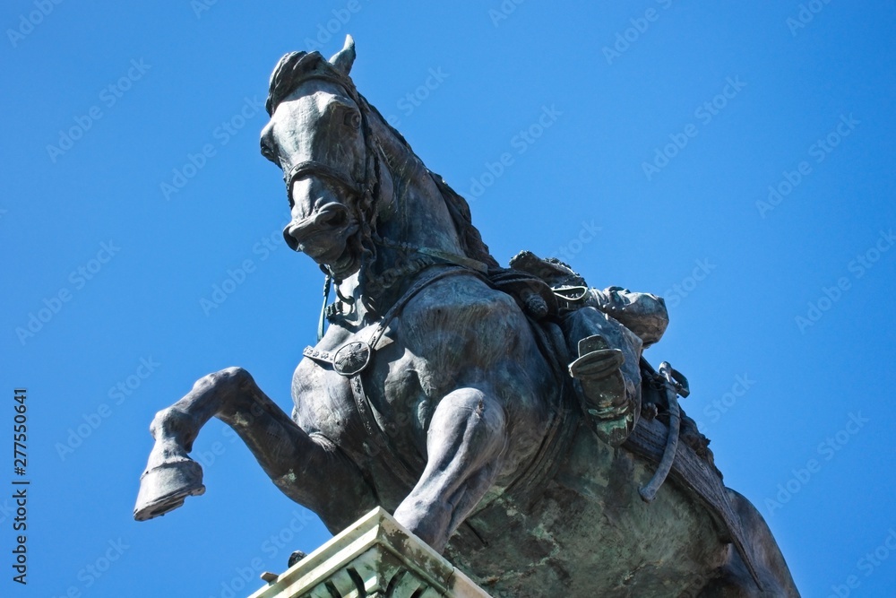 Fototapeta premium View from below of a bronze statue of a horse