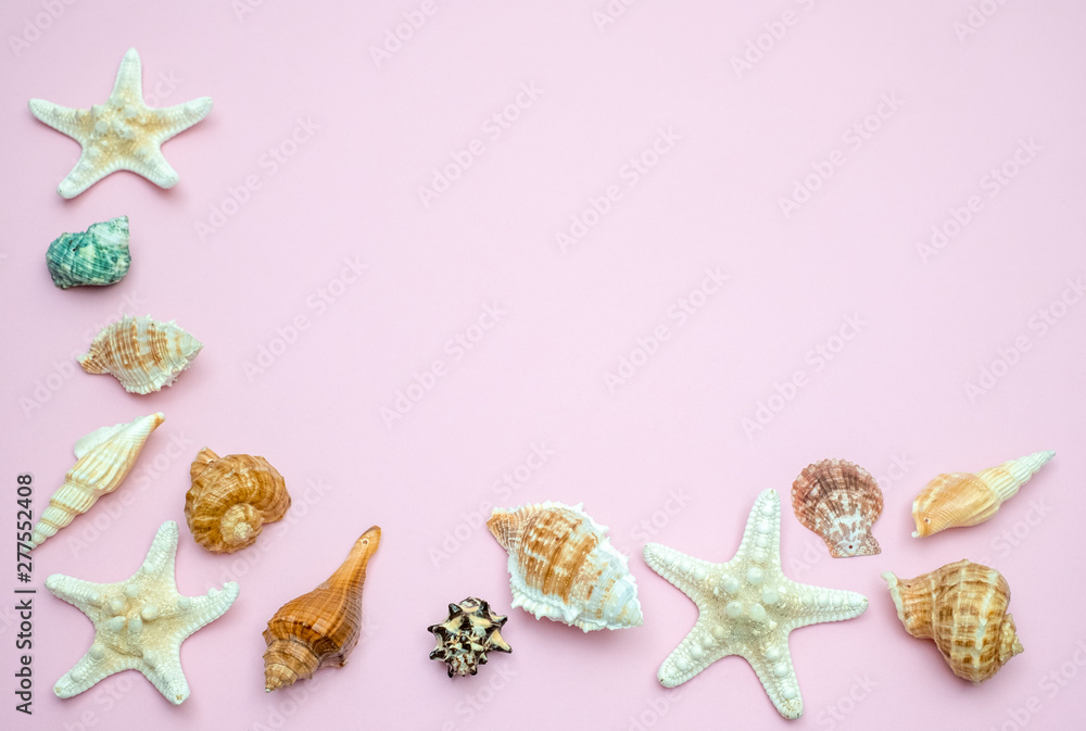 Shells and starfishes on pink background. Copy space for your text.Summer holiday concept.. Shells and starfishes on pink background. Copy space for your text.Summer holiday concept..