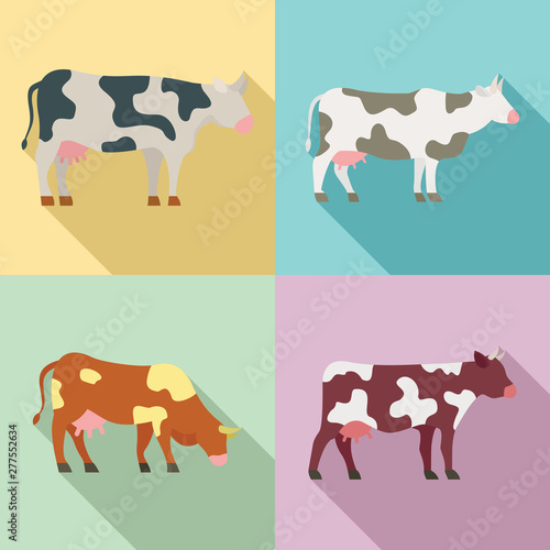 Cow icons set. Flat set of cow vector icons for web design