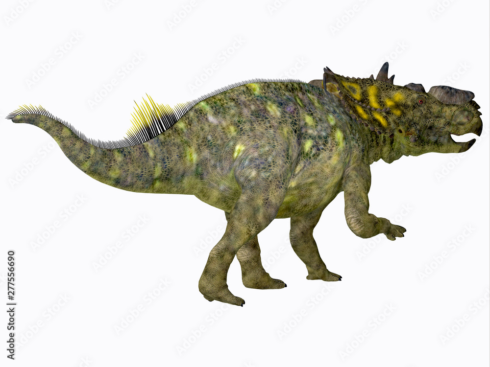 Pachyrhinosaurus Dinosaur Tail - Pachyrhinosaurus was a Ceratopsian herbivorous beaked dinosaur that lived in Alberta, Canada during the Cretaceous Period.