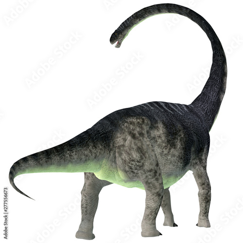 Omeisaurus Dinosaur Tail - Omeisaurus was a herbivorous sauropod dinosaur that lived in China during the Jurassic Period. © Catmando