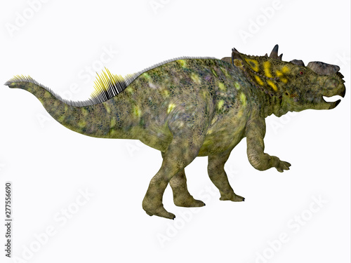 Pachyrhinosaurus Dinosaur Tail - Pachyrhinosaurus was a Ceratopsian herbivorous beaked dinosaur that lived in Alberta, Canada during the Cretaceous Period. © Catmando
