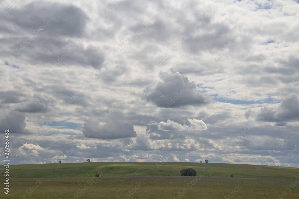 summer landscape with a view of a green field under a blue sky and white clouds in Russia