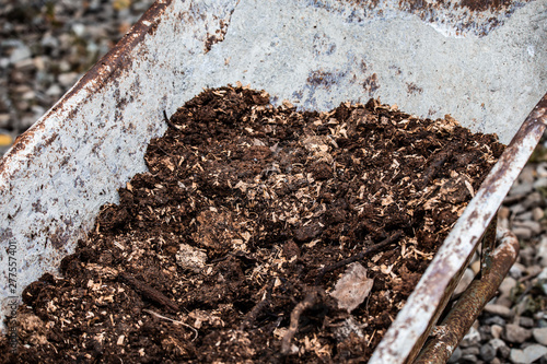 Wallpaper Mural manure in a wheelbarrow: organic, natural fertilizer. Farm life. Torontodigital.ca