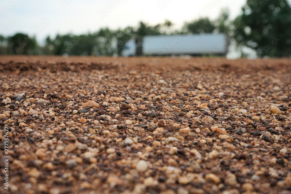 Rural roads in the countryside are surrounded by fields.