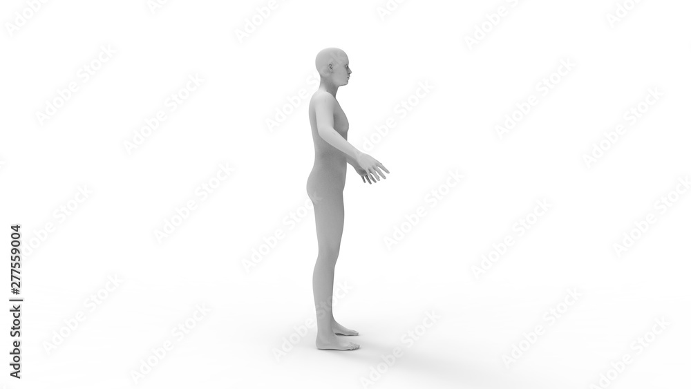 3d rendering of a human model isolated in white background 3d rendering of a human model isolated in white background