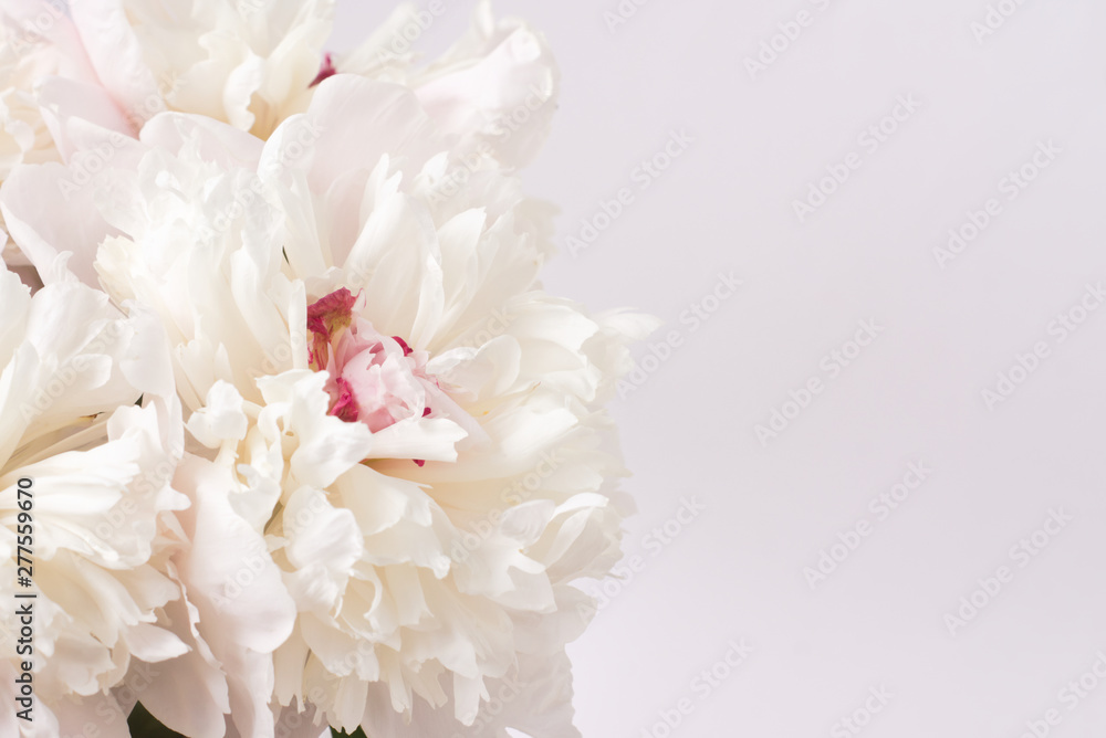 A lush bouquet of pink and white peonies. Natural floral background. Valentines Day and wedding concept A lush bouquet of pink and white peonies. Natural floral background. Valentines Day and wedding concept