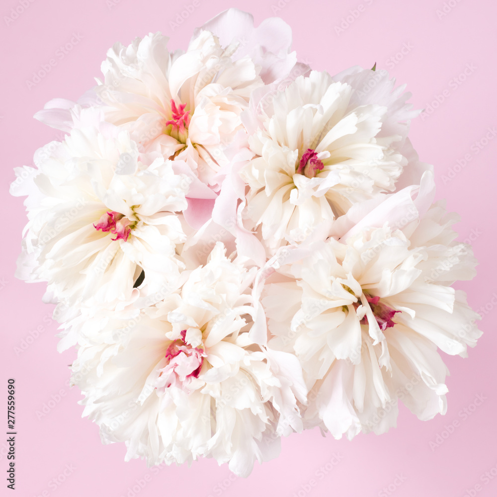 A lush bouquet of pink and white peonies. Natural floral background. Valentines Day and wedding concept A lush bouquet of pink and white peonies. Natural floral background. Valentines Day and wedding concept