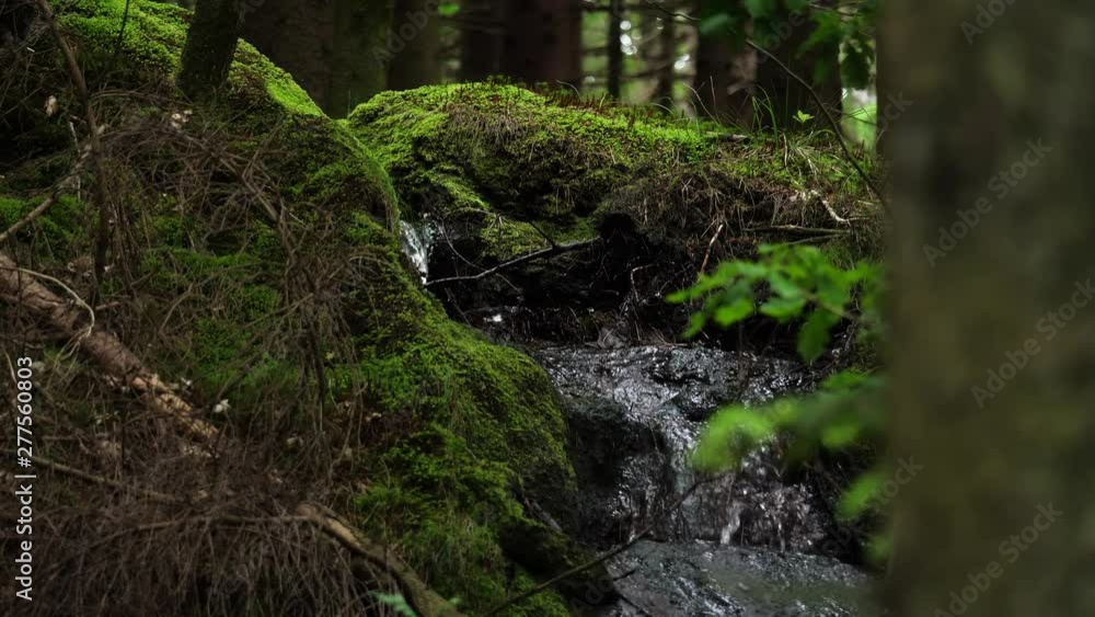 Pan shot, of a small stream, in middle of mossy rocks and forest, near Kaldvell, on a cloudy day, in Lillesand, Norway Pan shot, of a small stream, in middle of mossy rocks and forest, near Kaldvell, on a cloudy day, in Lillesand, Norway