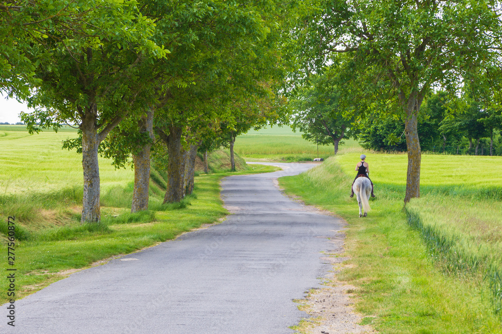 Girl riding horse in a country road, France