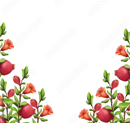 Beautiful Red Pomegranate fruit art illustration 