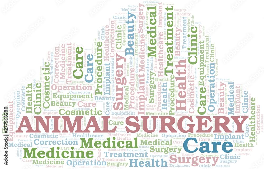 Obraz premium Animal Surgery word cloud vector made with text only.