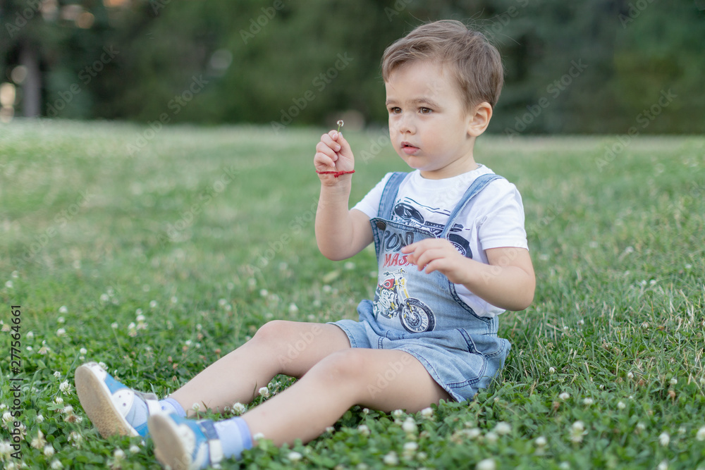 little boy portrait in the park little boy portrait in the park
