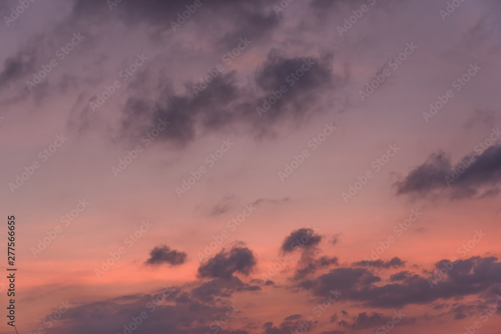 Fototapeta premium Beautiful purple clouds on the summer evening sky