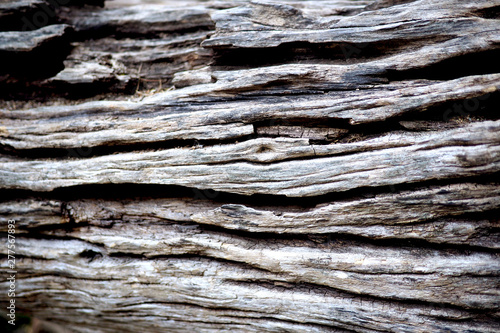 Abstract detail of weathered and worn wood © fivepointsix