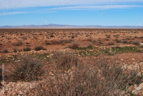 Visage de la steppe Algerie