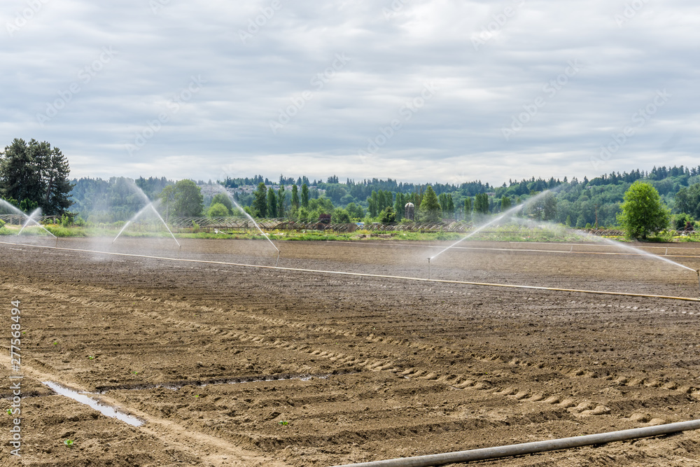 Sprinklers On New Field 7 Sprinklers On New Field 7