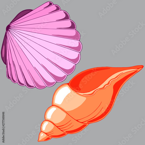 drawing of shells in pastel colors
