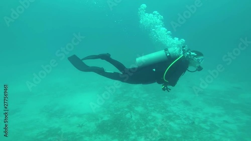 Galapagos Islands diving shooting diverse underwater life with gopro camera