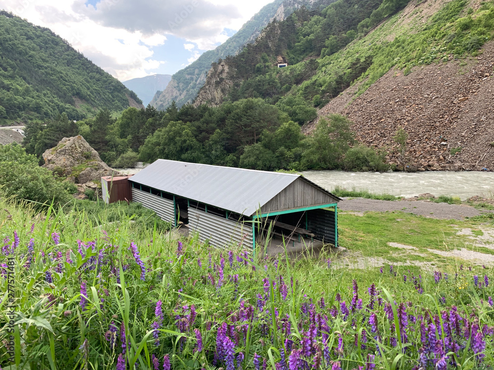 Fototapeta premium Russia, North Ossetia. Recreation area on the banks of the river Ardon in the Kassar gorge in the summer at the entrance to the North Ossetian nature reserve