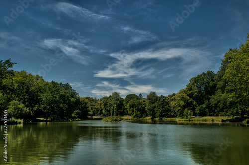 Park, trees, beauty, shadows, the sun, grass, water, natural