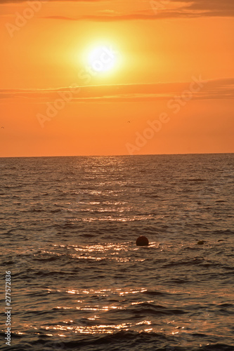 Golden Sunset at the Beach 