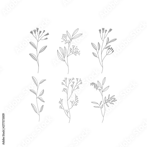 Set of illustrated flowers 