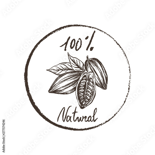 Eco products. Imprint design elements Hand drawn sketch cacao beans