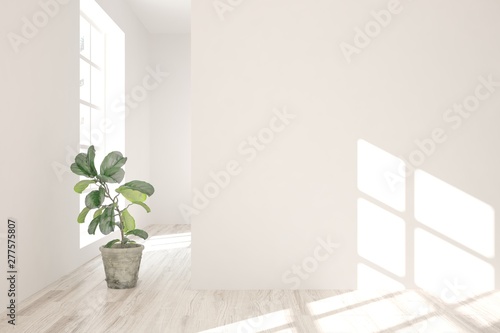 Empty room in white color. Scandinavian interior design. 3D illustration