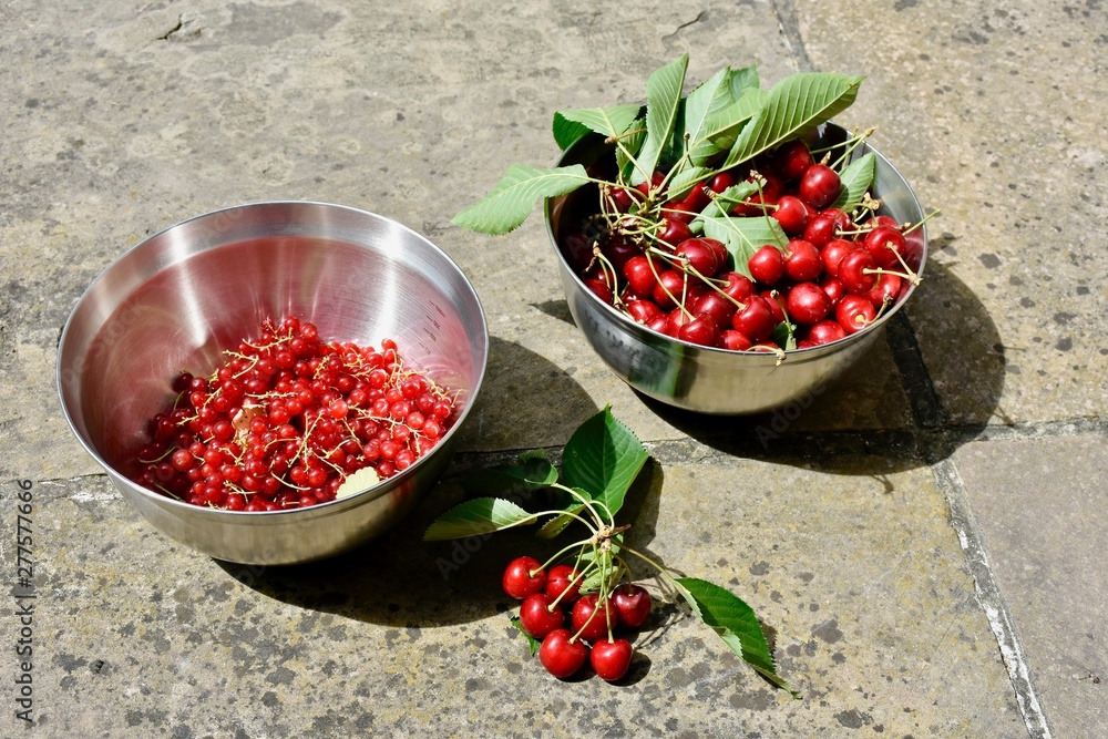 freshly picked red fruit in a stainless steel bowls freshly picked red fruit in a stainless steel bowls