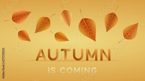 Postcard, poster, banner, flyer with text - autumn is coming. Autumn background. Vector illustration.