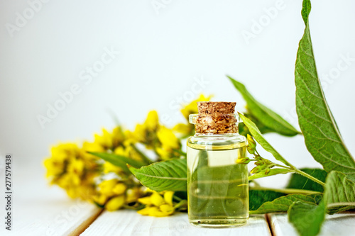 Natural fragrant flower essential oil in a glass bottle with a solid cork on the background of yellow wildflowers. Background about essential oils and natural cosmetics. Organic cosmetics