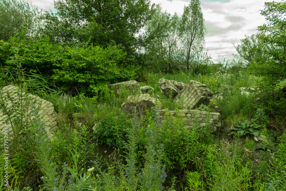 Obraz premium the ruins of an old wall on the outskirts of the forest