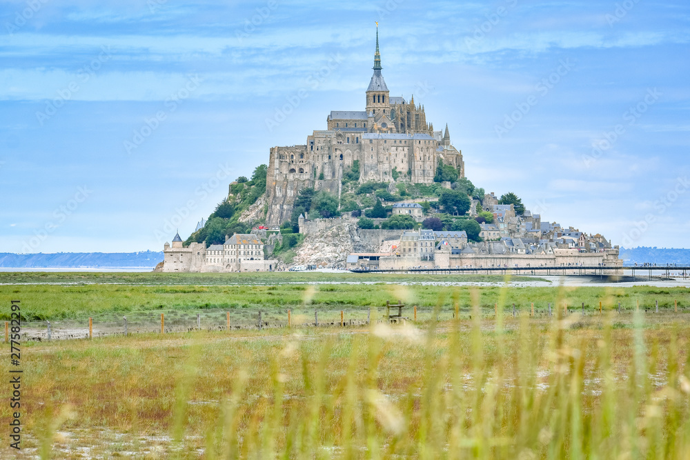 Detail of grass in the foreground and Mont Saint Michel, France, in the background