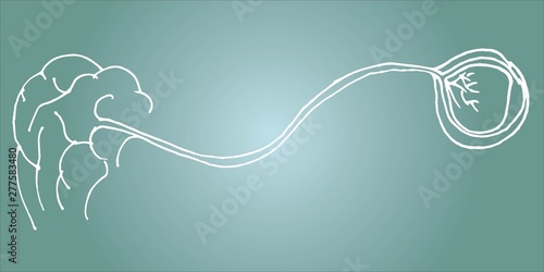 outline drawing of human eye with nerve and brain