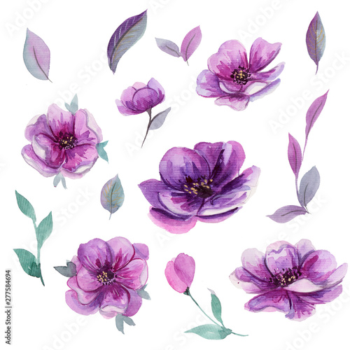 Fototapeta Naklejka Na Ścianę i Meble -  Beautiful watercolor set of hand drawn purple flowers and leaves. Can be used for invitation, greeting card, wedding, birthday cards. Isolated on white background