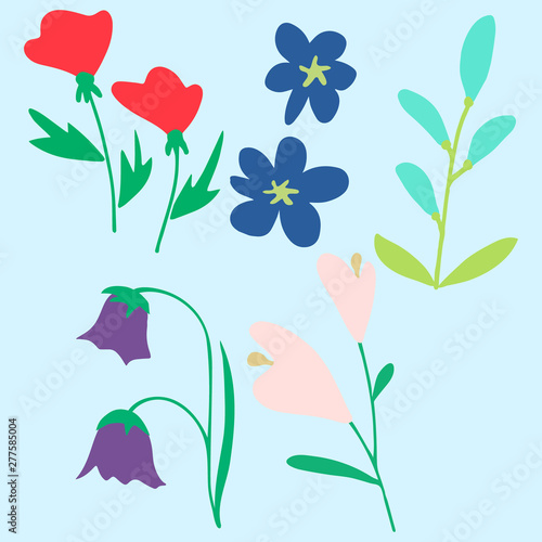 Vector illustration of dafferent flowers in simple style on pastel blue background