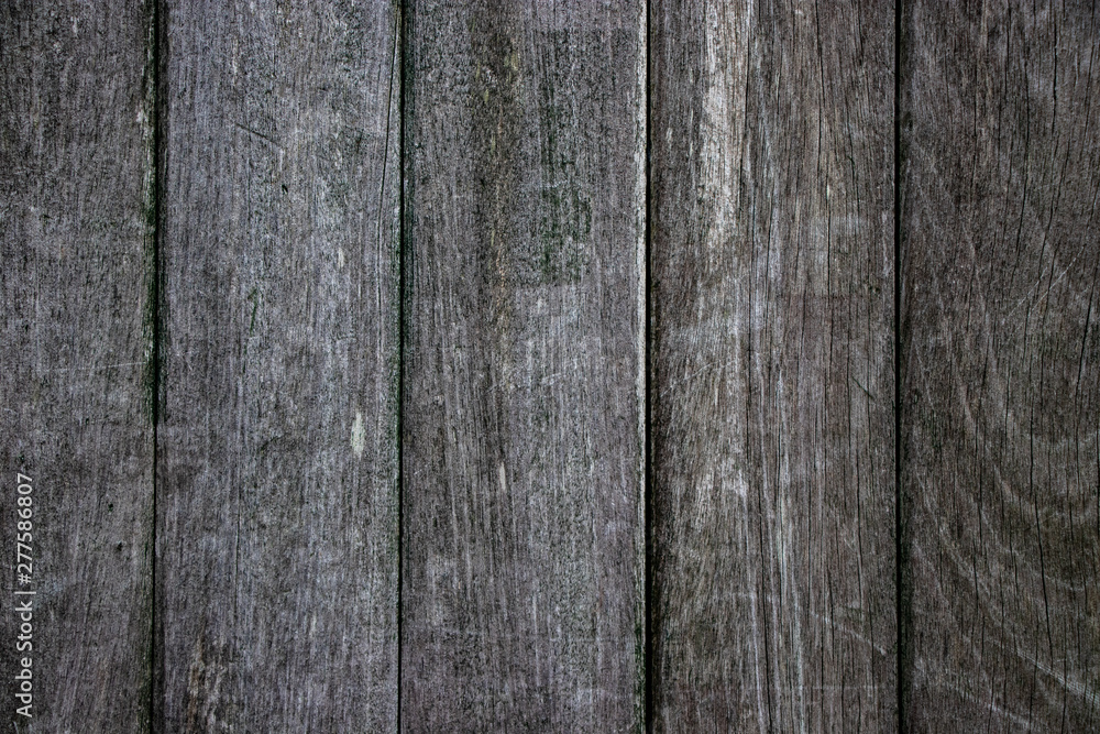 Fototapeta premium rough Wood pannel gate texture shot
