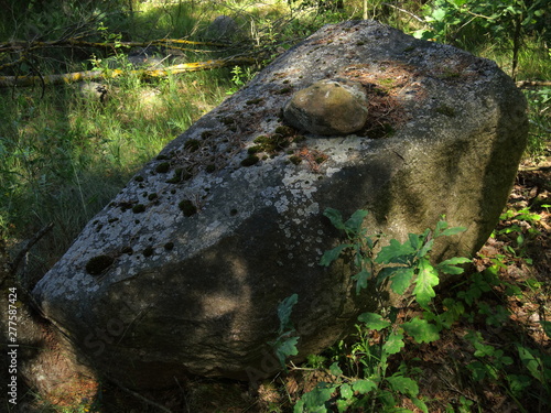 A huge stone lying in the forest