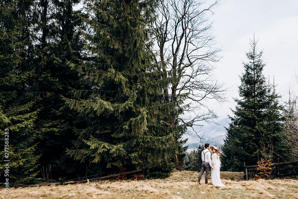 Rear of the fiance and bride in the long white dress and hat standing at the beautiful glade with pines in the rural place. Fiancee looking at the camera over her shoulder. Back view. Rear of the fiance and bride in the long white dress and hat standing at the beautiful glade with pines in the rural place. Fiancee looking at the camera over her shoulder. Back view.
