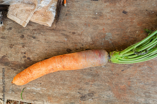 Isolated Carrot photo