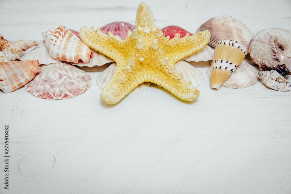 Seashells from the sea on a wooden white background. The concept of holidays and the import of souvenirs from the sea. Returning home from vacation. Sea shells isolated. Seashells from the sea on a wooden white background. The concept of holidays and the import of souvenirs from the sea. Returning home from vacation. Sea shells isolated.