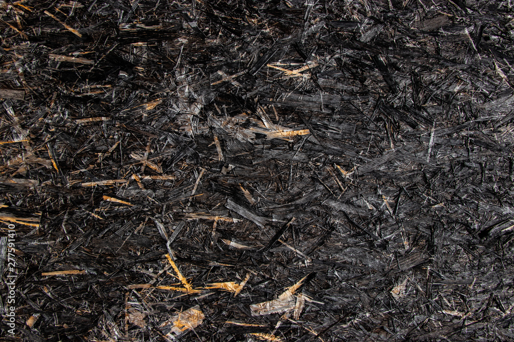 Fototapeta premium Black painted wood chip texture
